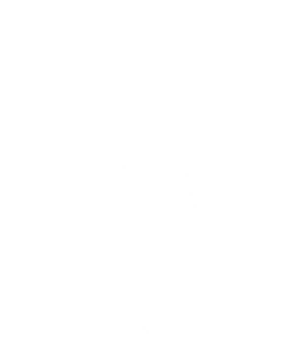 Alone Architect Store